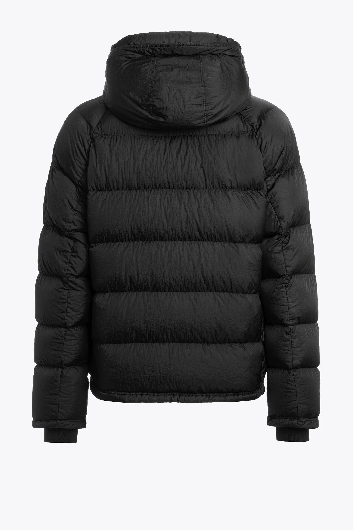 NORTON - HOODED DOWN JACKET