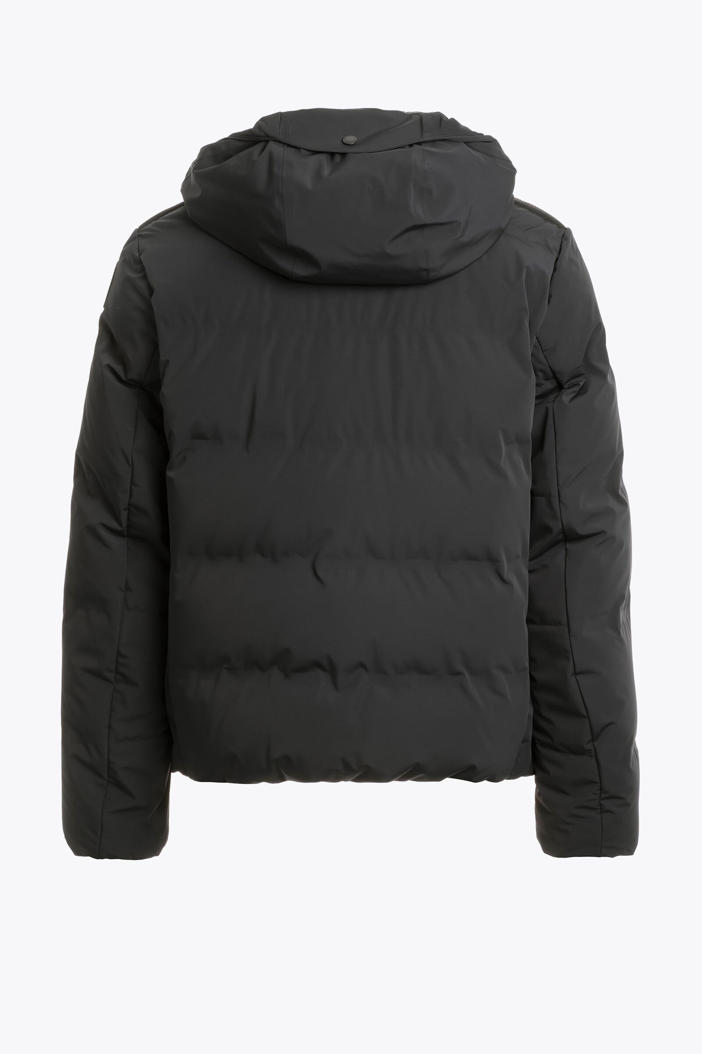 TAIGA - HOODED JACKET