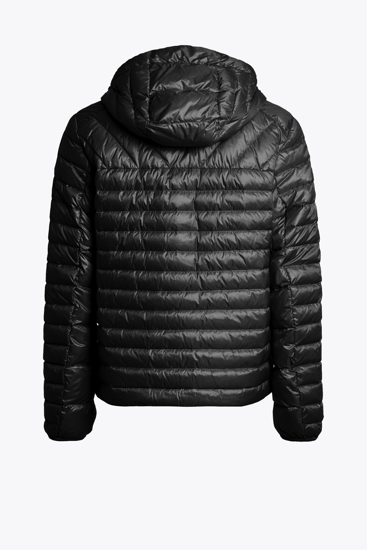 MIROKU - HOODED DOWN JACKET