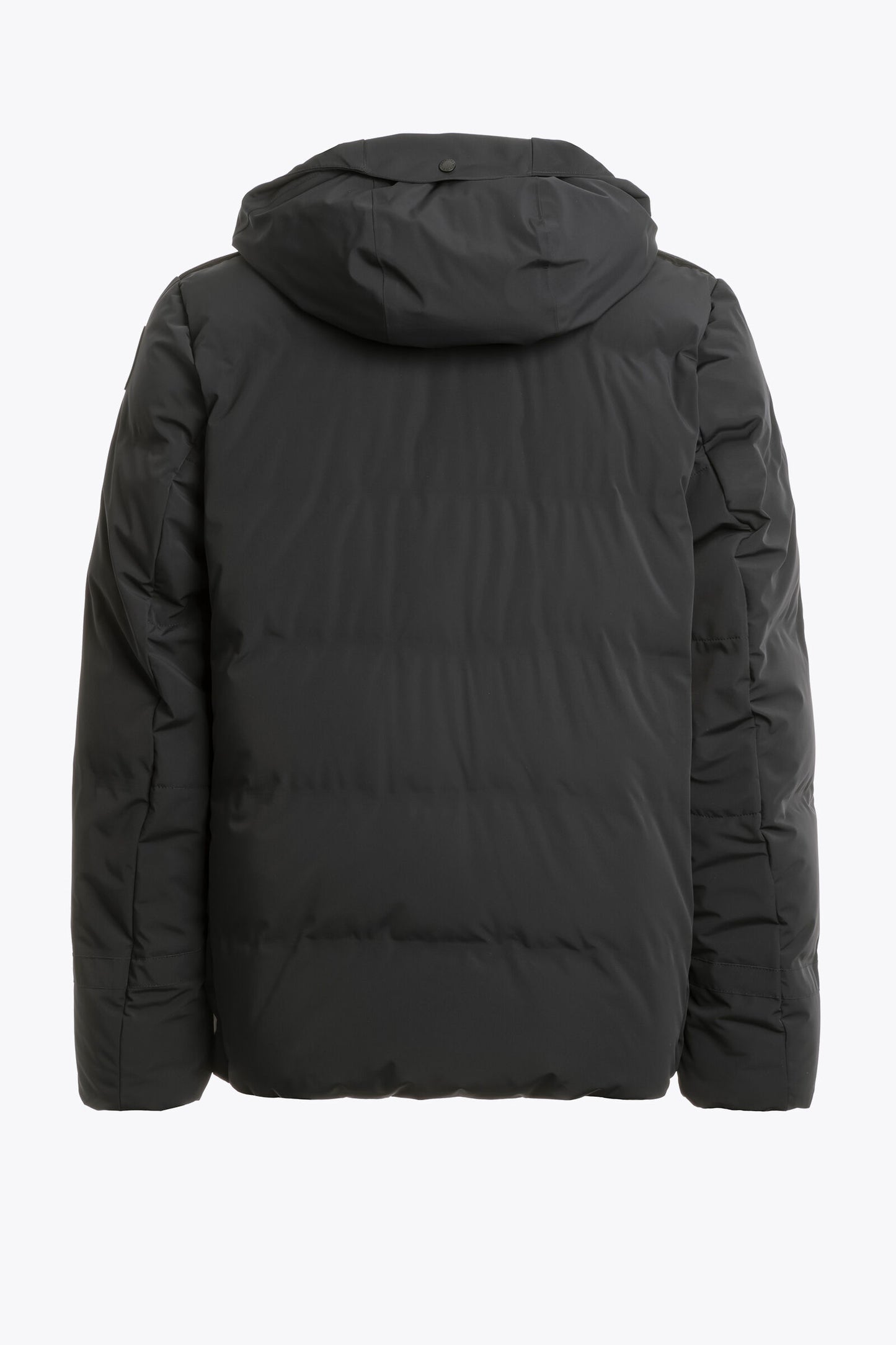 KAZU - HOODED JACKET