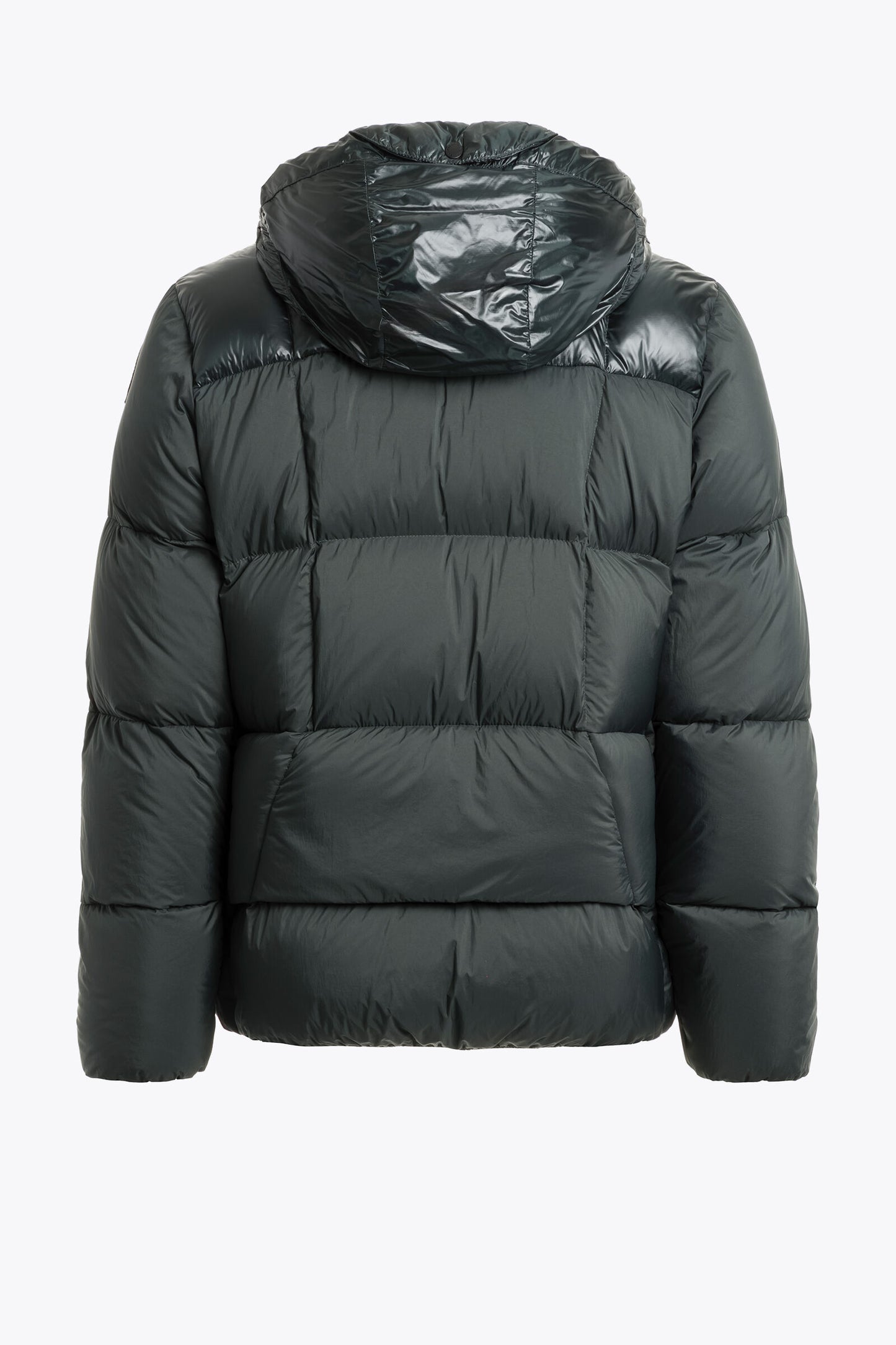 SENTO - HOODED DOWN JACKET